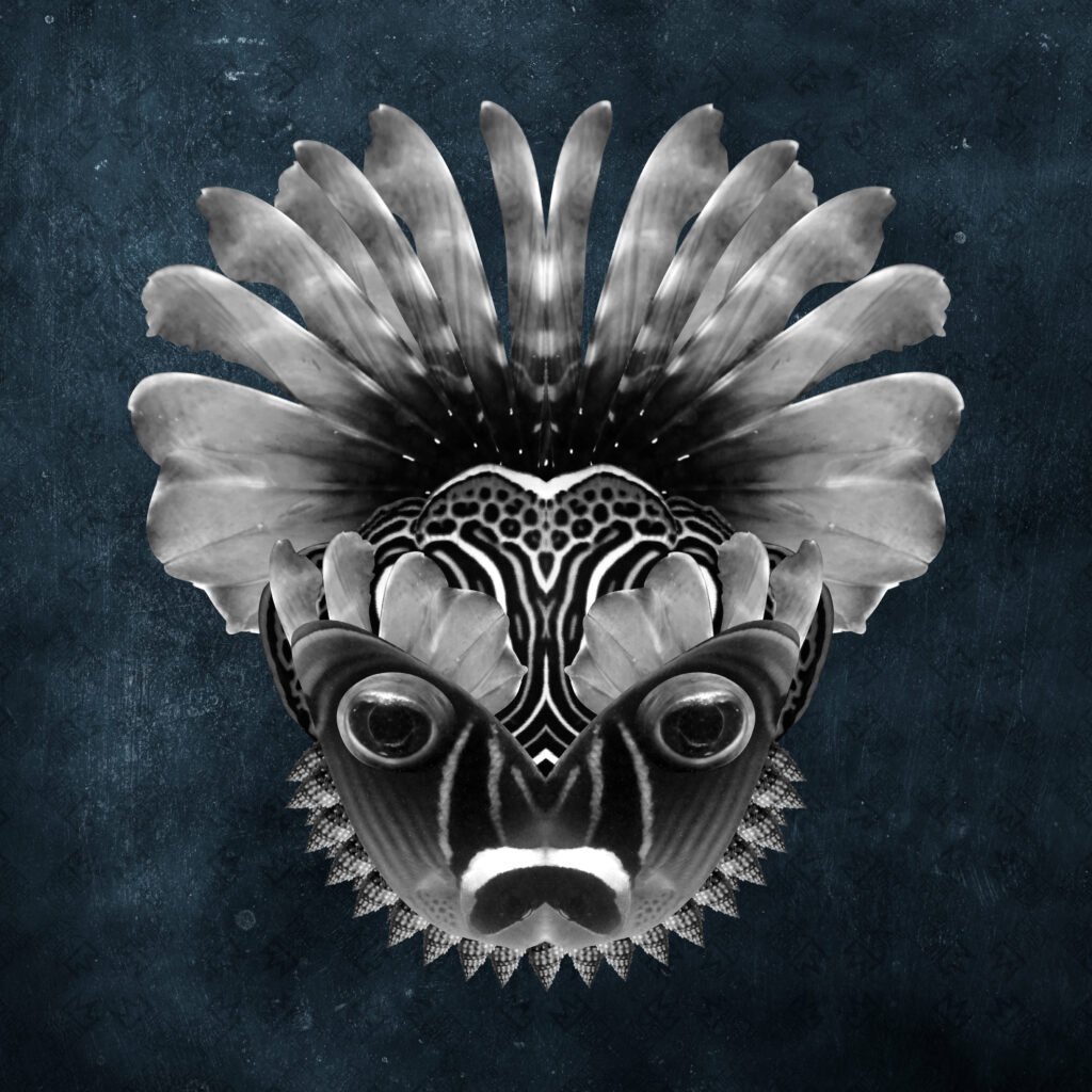 9 RASS KASS 1024x1024